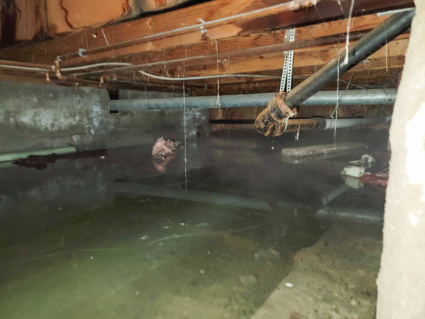 Best Emergency water damage restoration  in Wilder, VT