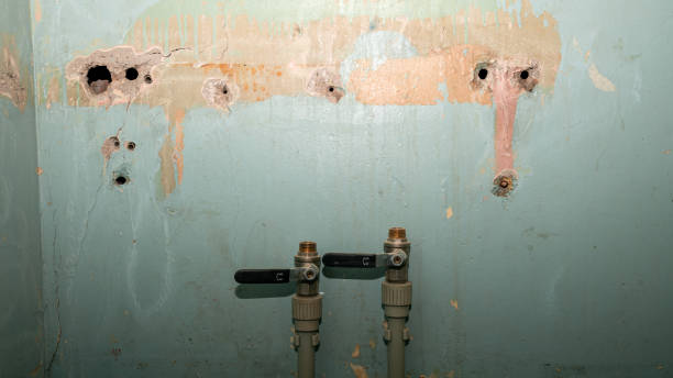 Water damage restoration mold remediation in VT
