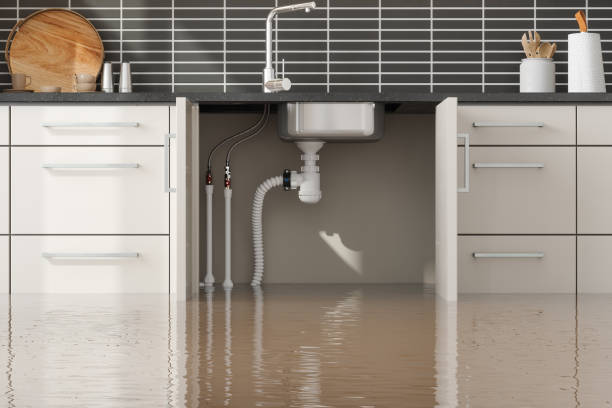 Best Local water damage restoration  in Wilder, VT